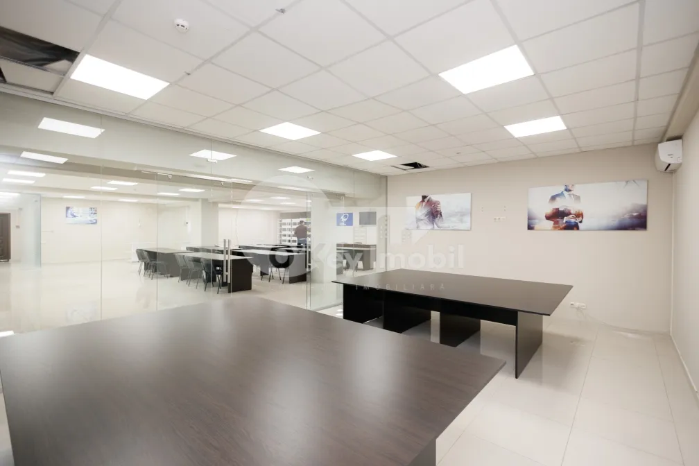 Офис, Ботаника, ДЕЧЕБАЛ