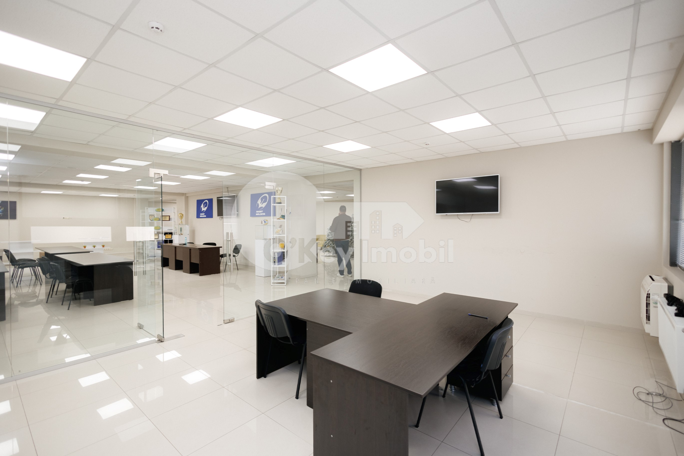 Oficiu, Botanica, DECEBAL