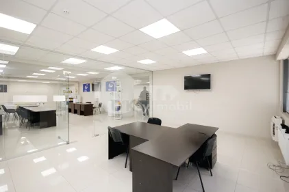 Офис, Ботаника, ДЕЧЕБАЛ