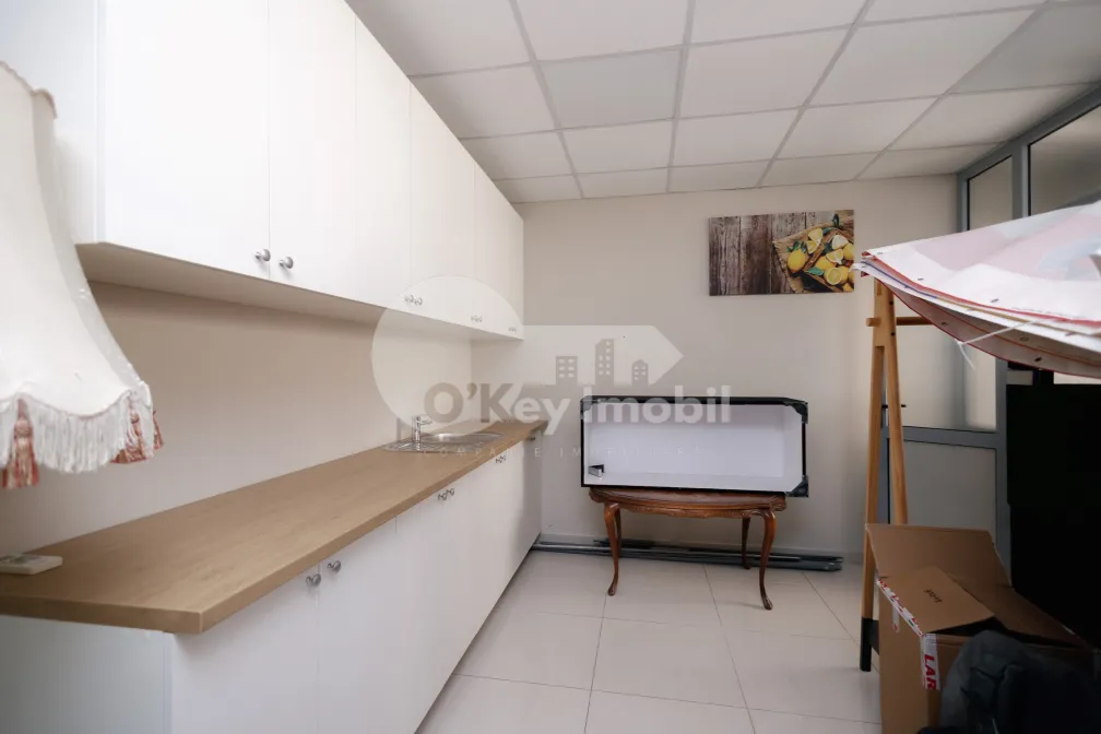 Офис, Ботаника, ДЕЧЕБАЛ