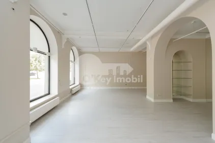 Комм. помещение, Центр, ШТЕФАН ЧЕЛ МАРЕ