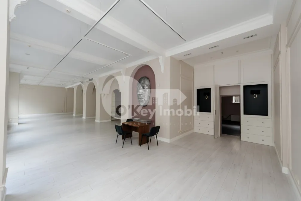 Комм. помещение, Центр, ШТЕФАН ЧЕЛ МАРЕ