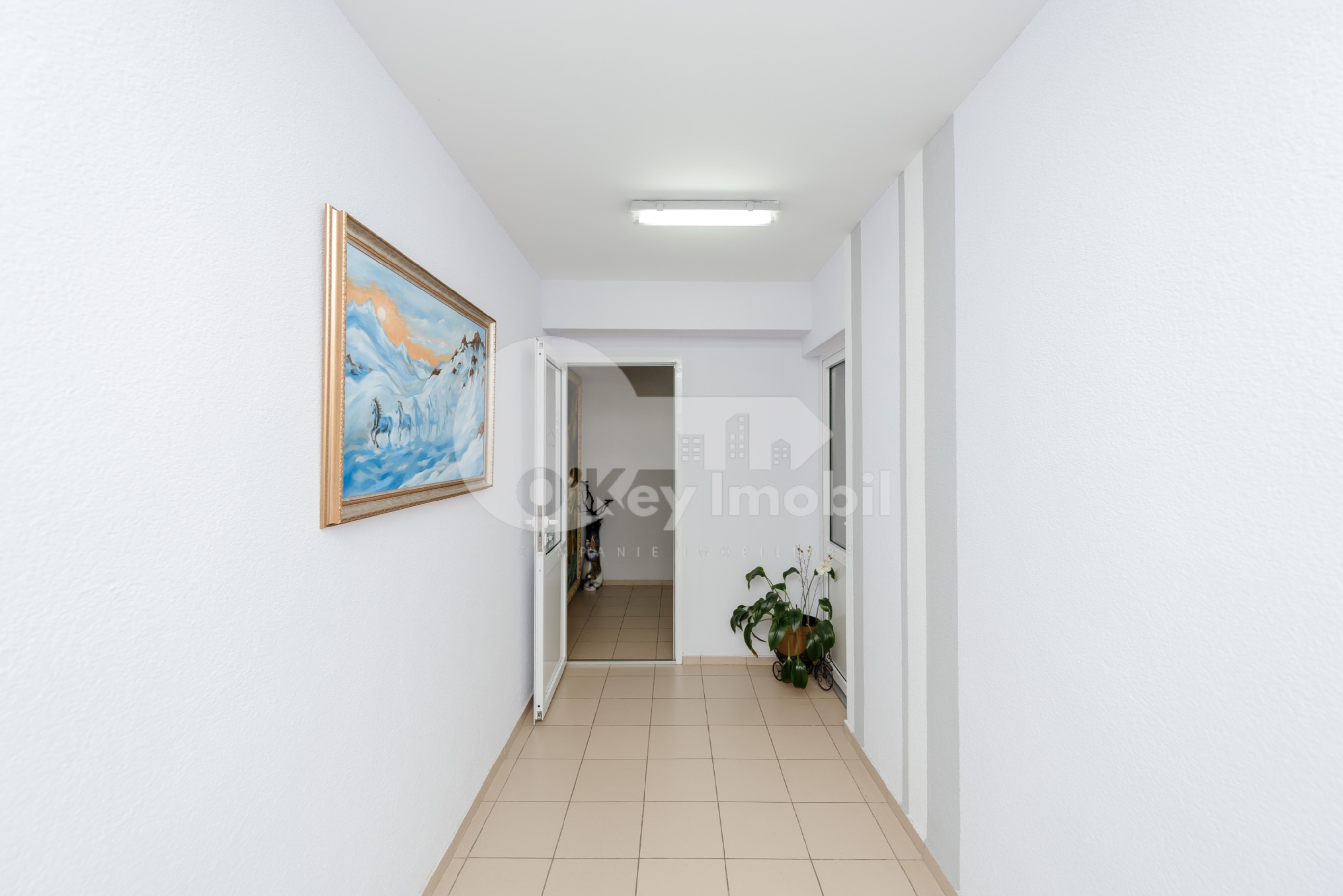 Spațiu comercial, Telecentru, PIETRARILOR