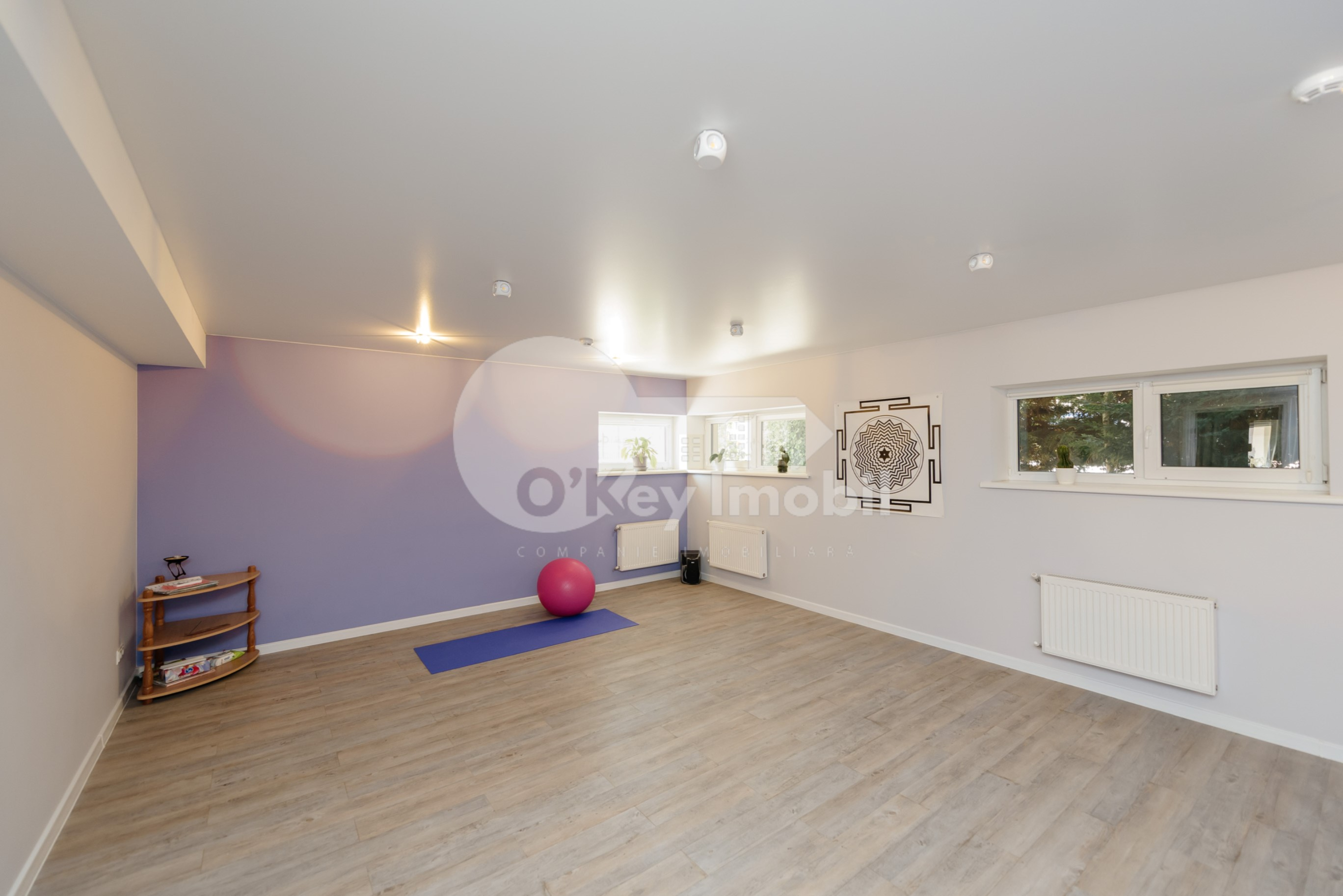 Spațiu comercial, Telecentru, PIETRARILOR