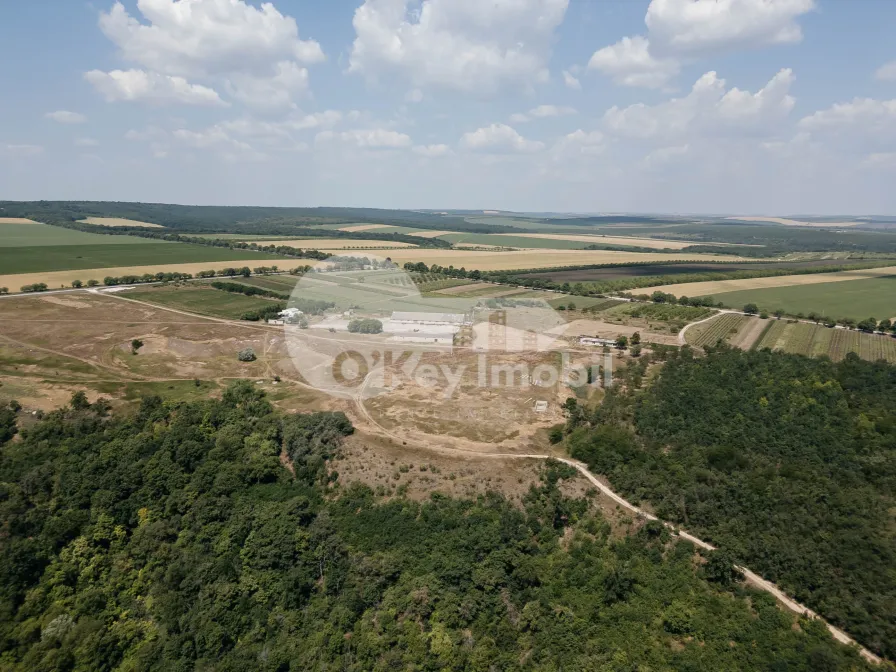 Земельный участок, ВЫШКАУЦЫ