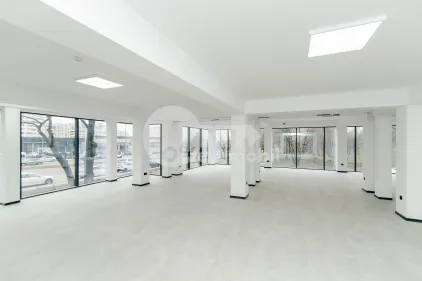 Офис, Ботаника, ДАЧИЯ