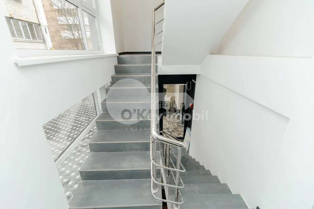 Офис, Ботаника, ДАЧИЯ