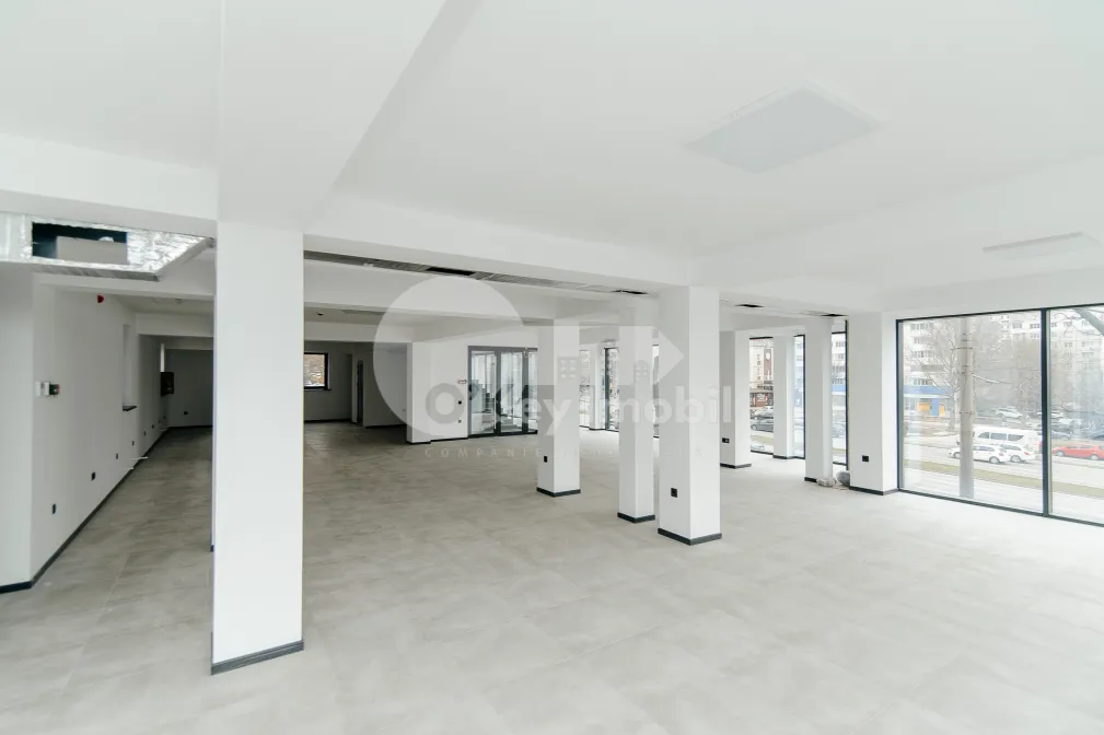 Офис, Ботаника, ДАЧИЯ