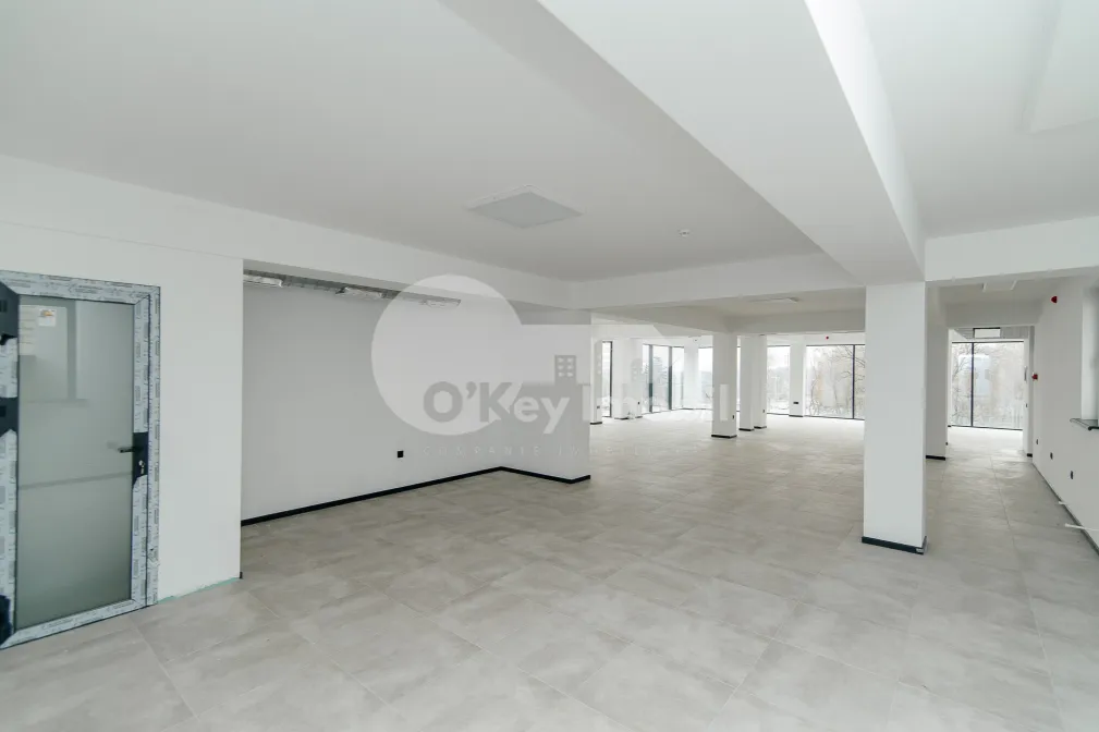 Офис, Ботаника, ДАЧИЯ