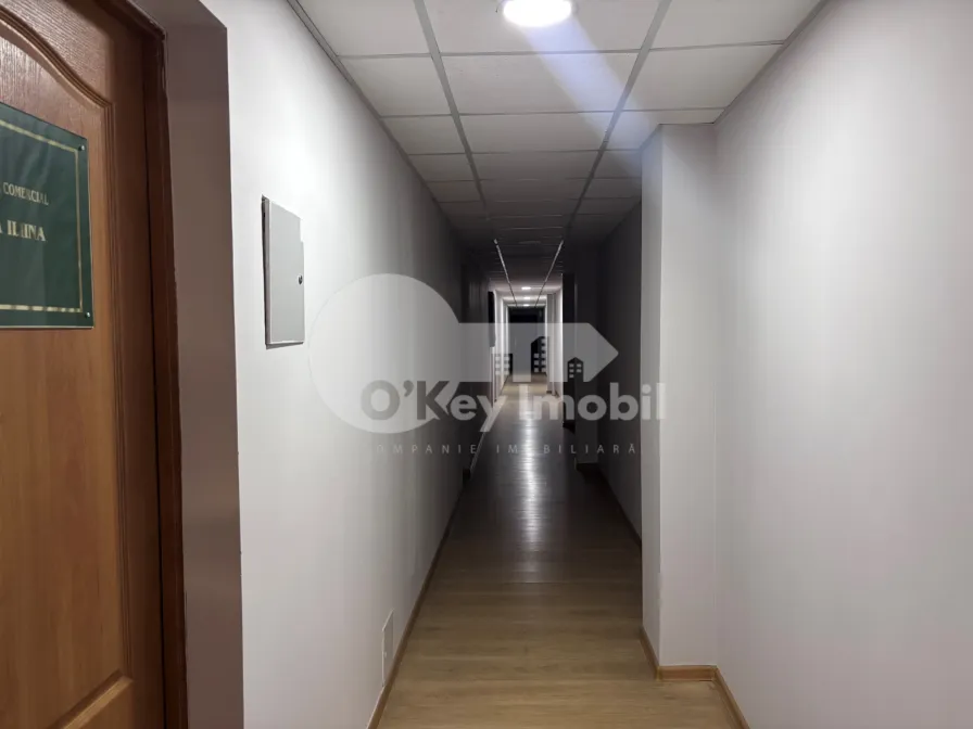 Комм. помещение, Центр, ПУШКИНА