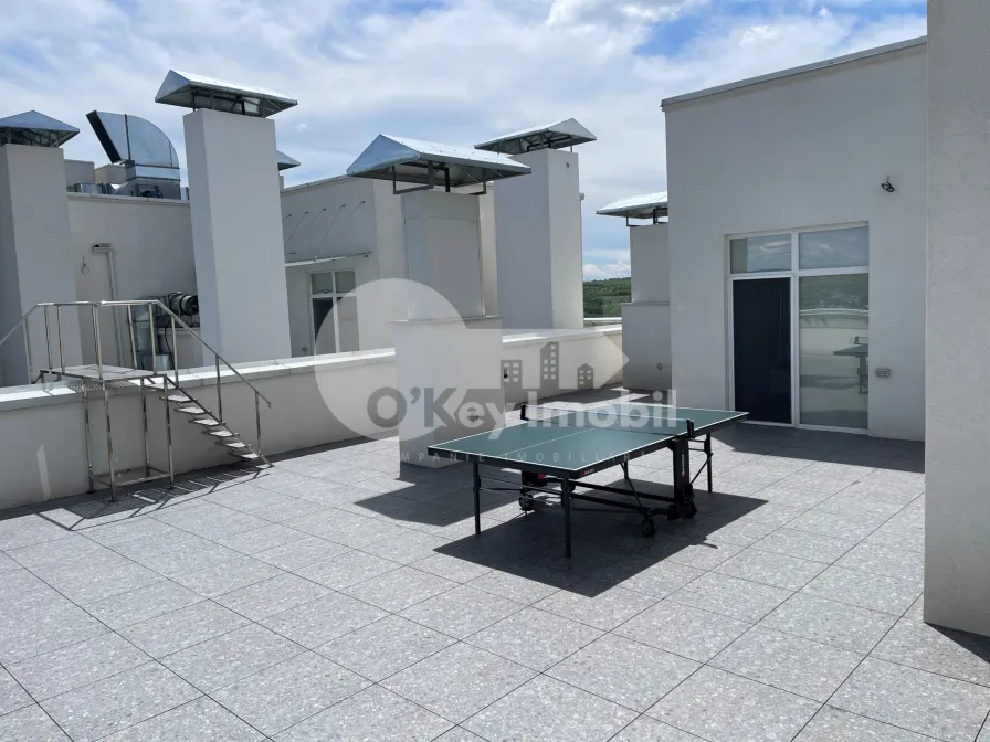 Пентхаус, Ботаника, БУРЕБИСТА