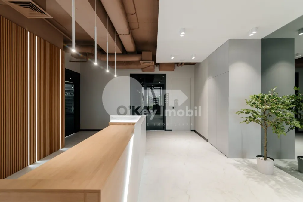 Офис, Центр, ШТЕФАН ЧЕЛ МАРЕ