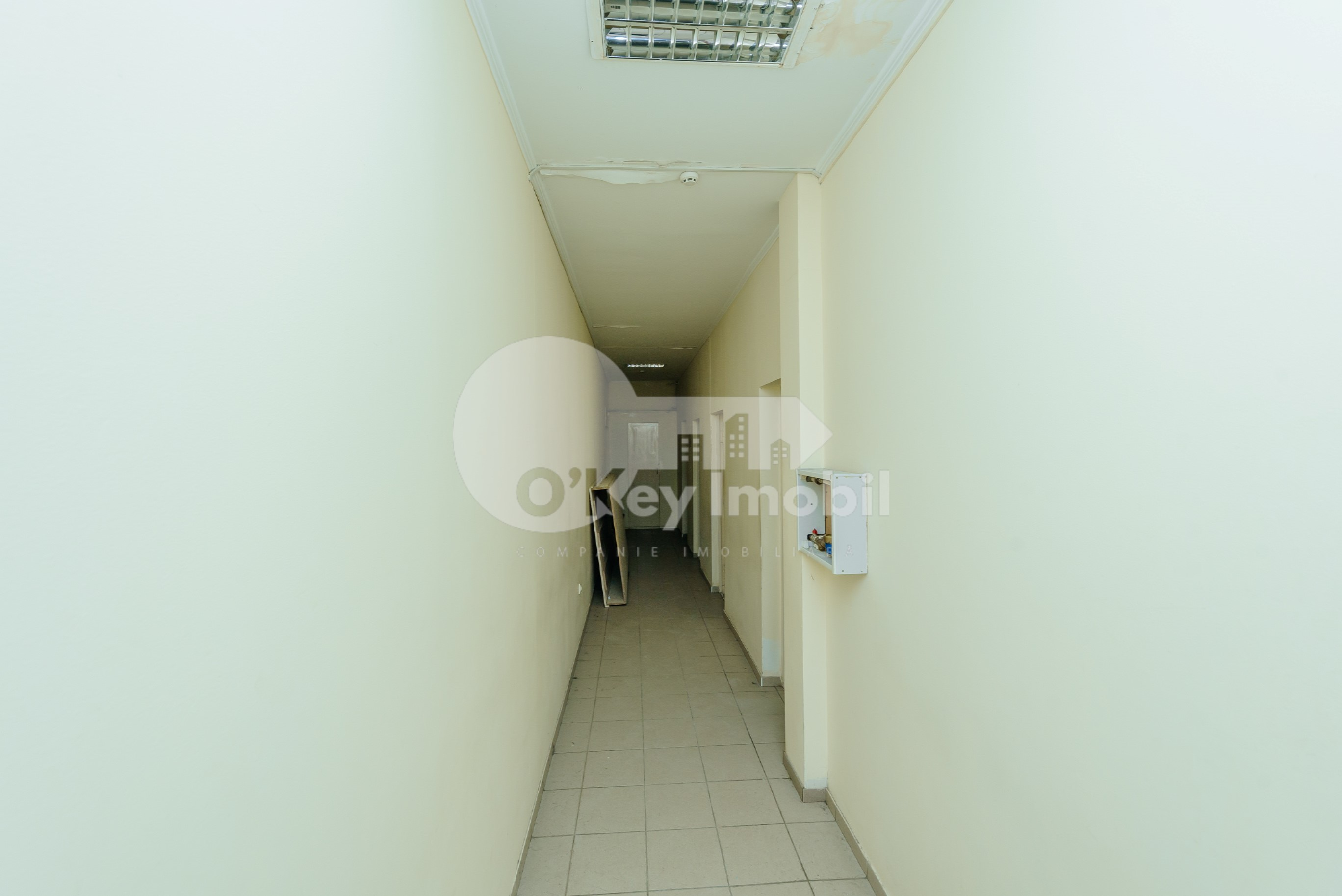 Spațiu comercial, Centru, BĂNULESCU BODONI