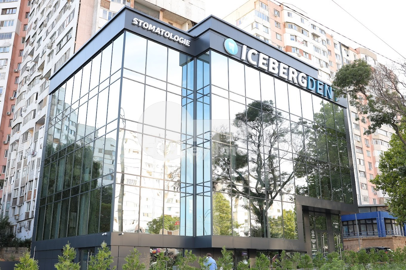 Oficiu, Botanica, DACIA