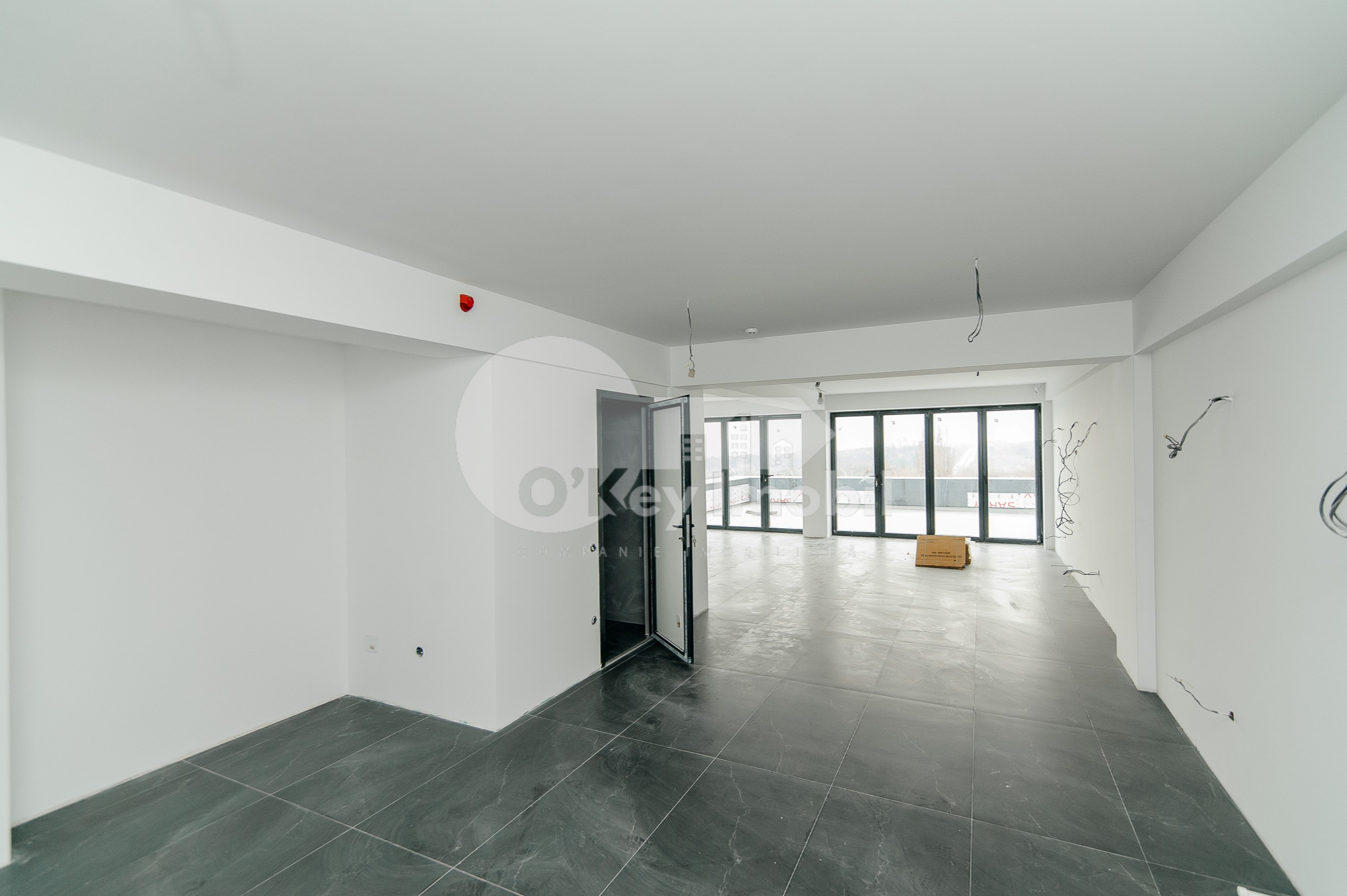 Oficiu, Botanica, DACIA