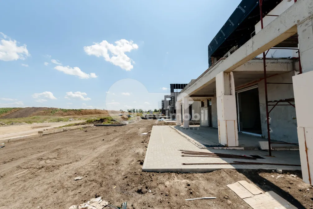 Дом, Ботаника, ДАЧИЯ