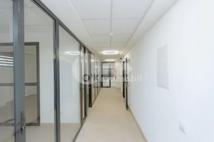 Офис, Рышкановка, ТУДОР ВЛАДИМИРЕСКУ