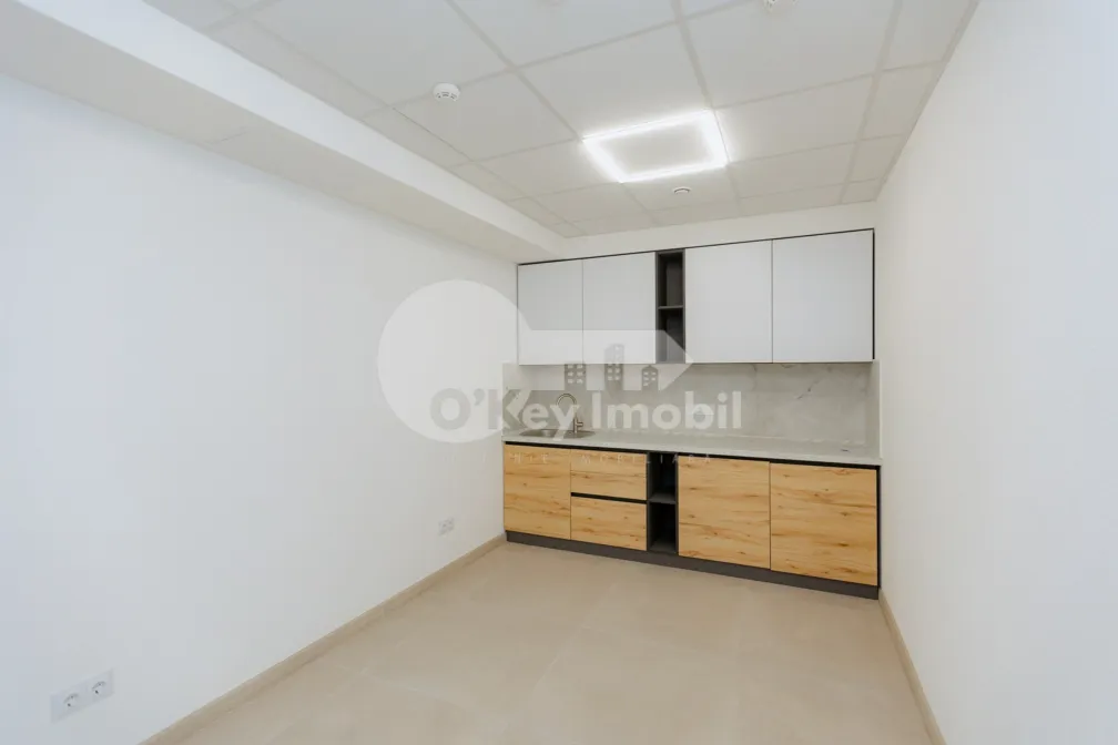 Офис, Рышкановка, ТУДОР ВЛАДИМИРЕСКУ