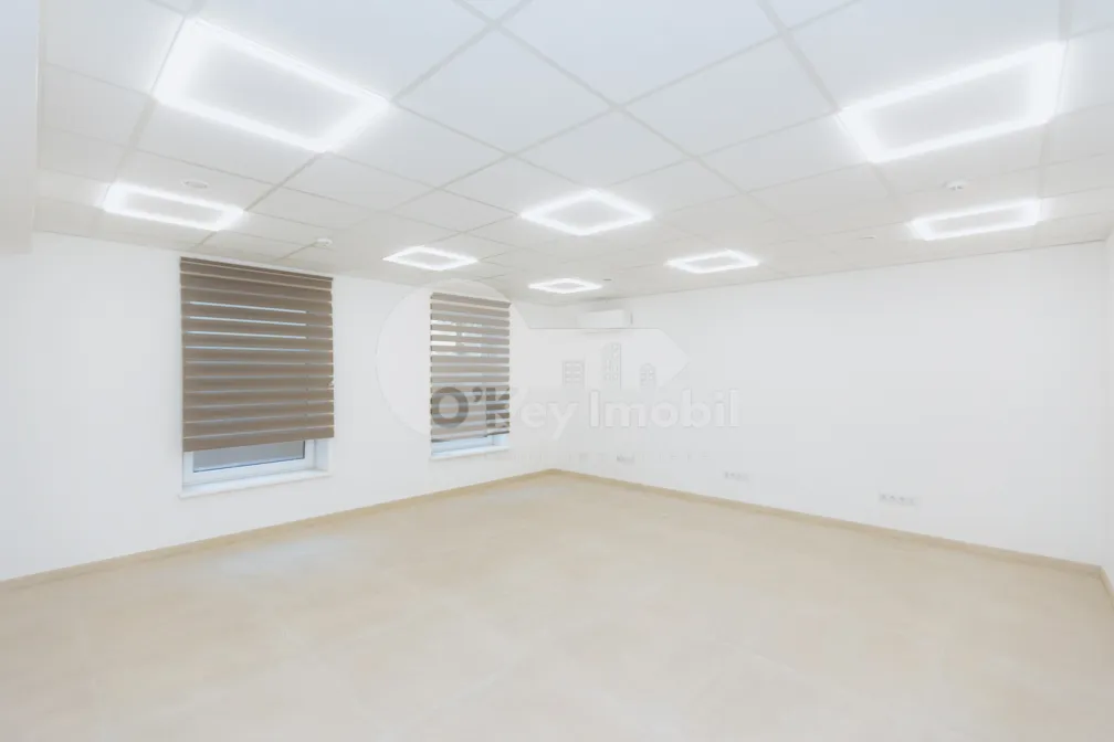 Офис, Рышкановка, ТУДОР ВЛАДИМИРЕСКУ