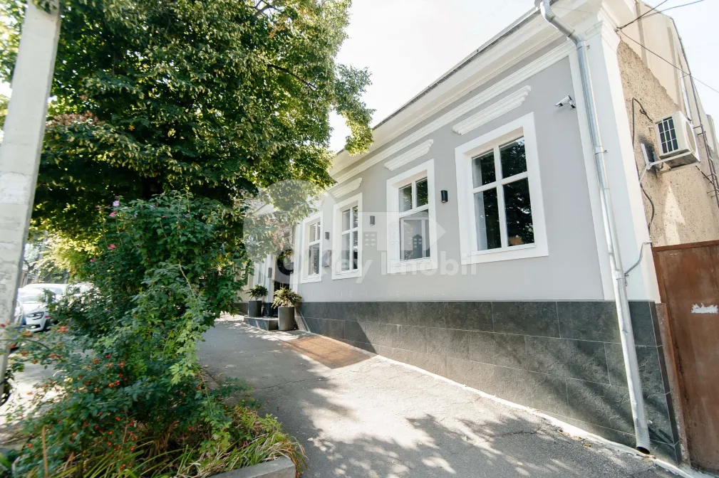 Офис, Центр, МИХАЙ ЕМИНЕСКУ