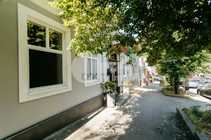 Офис, Центр, МИХАЙ ЕМИНЕСКУ