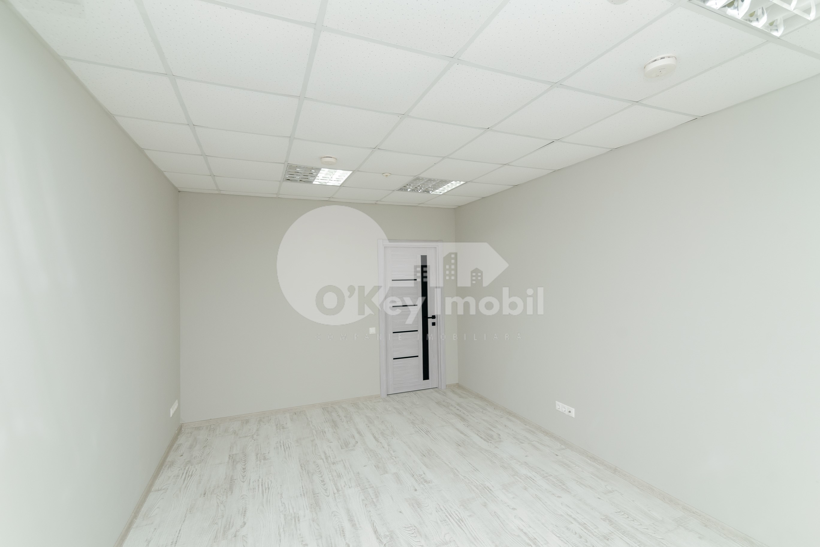 Oficiu, Centru, PETRU MOVILĂ