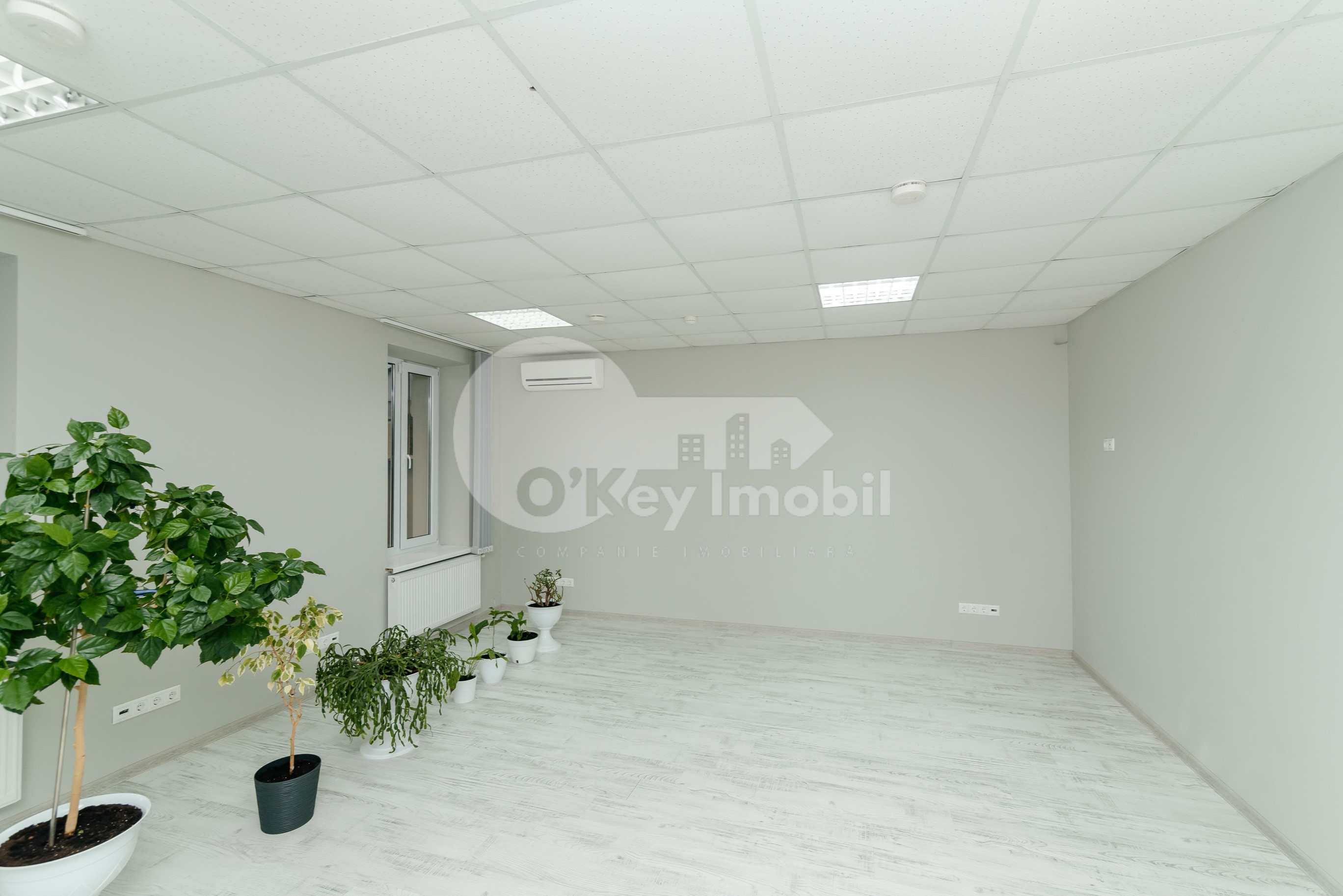 Oficiu, Centru, PETRU MOVILĂ