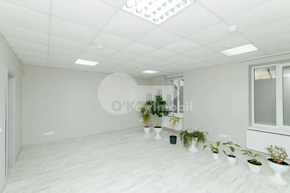 Офис, Центр, ПЕТРУ МОВИЛЭ