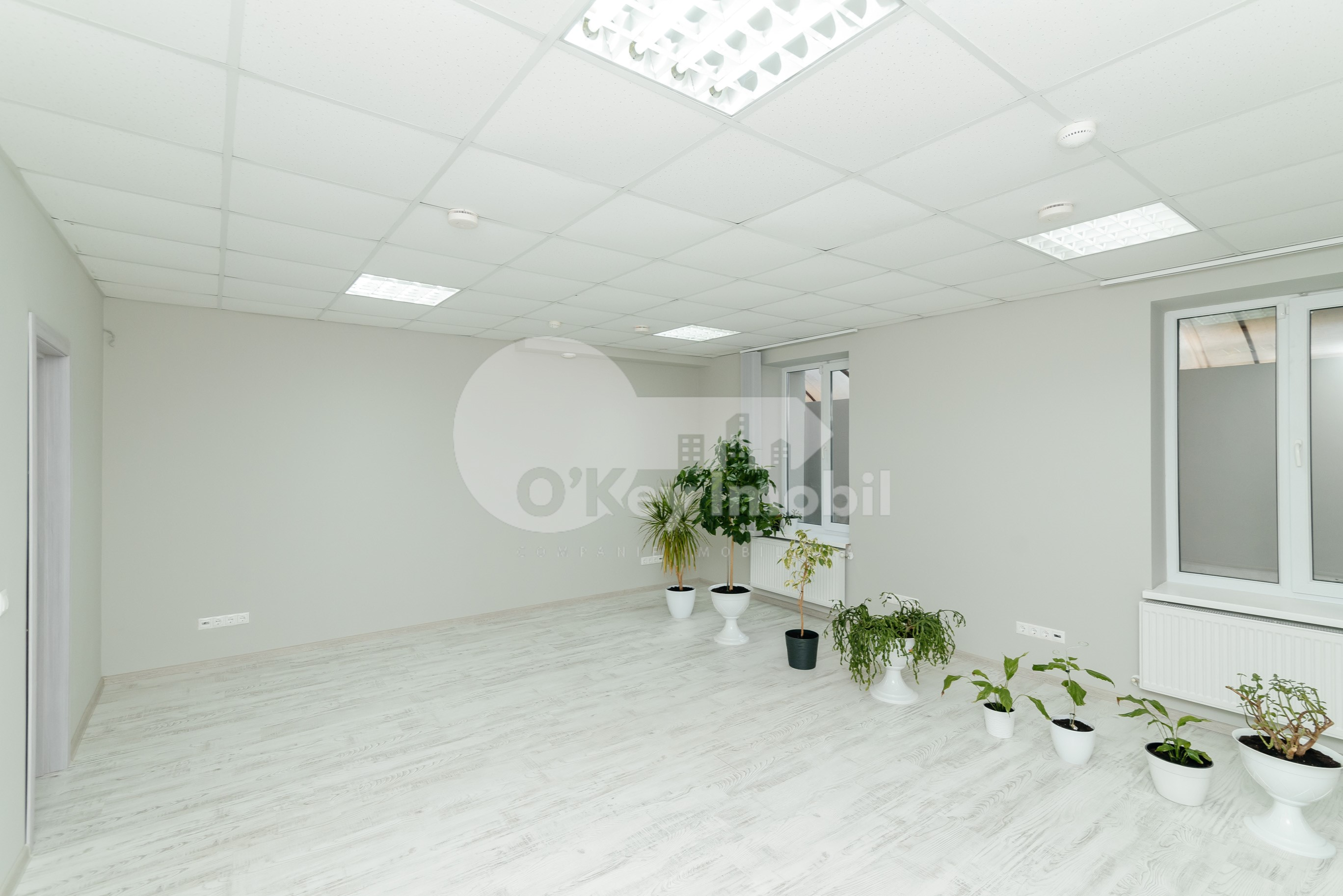 Oficiu, Centru, PETRU MOVILĂ