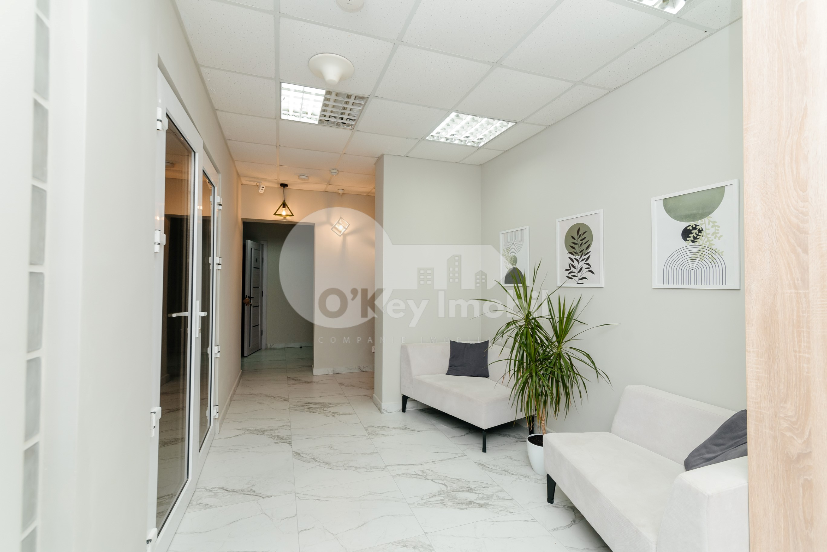 Oficiu, Centru, PETRU MOVILĂ