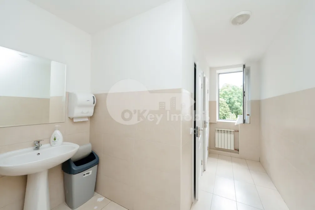 Офис, Центр, ГРИГОРЕ ВИЕРУ