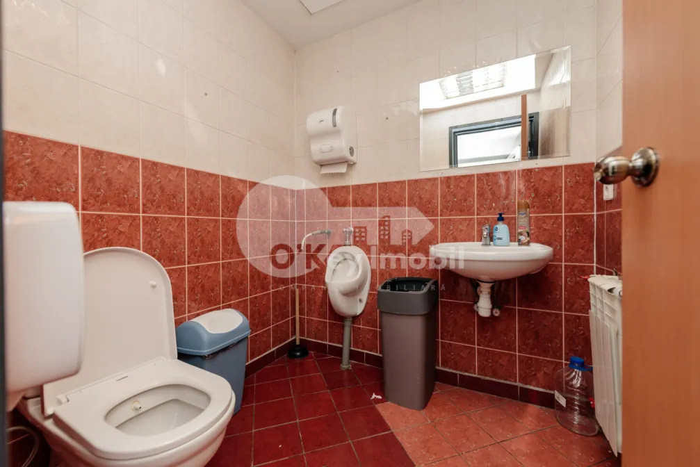 Офис, Центр, ГРИГОРЕ ВИЕРУ