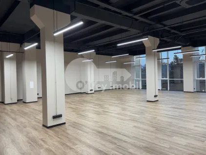 Офис, Буюканы, КАЛЯ ЕШИЛОР