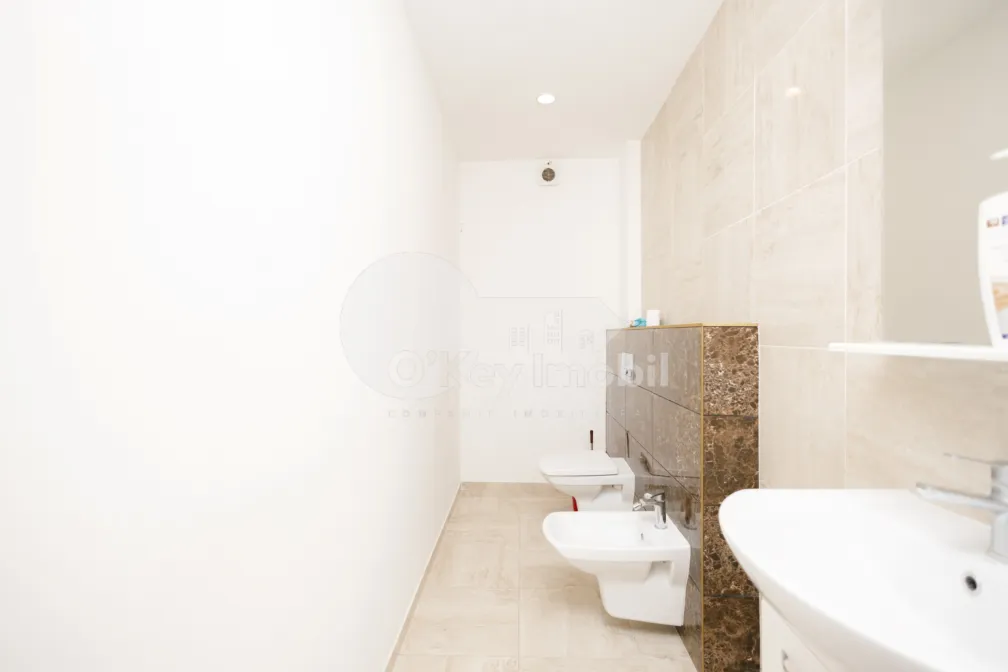 Квартира, Центр, Н. ТЕСТЕМИЦАНУ