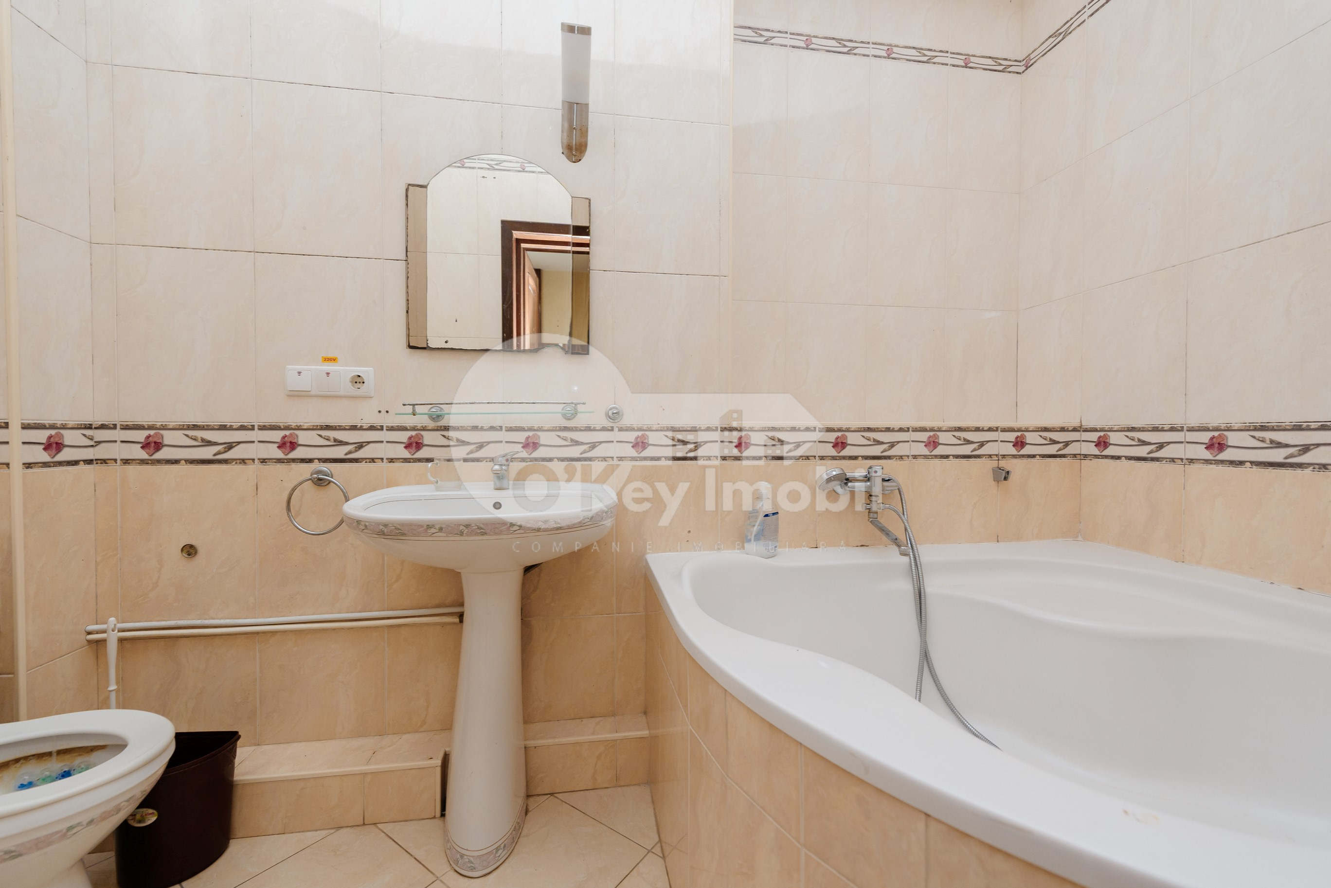 Spațiu comercial, Telecentru, STR. IALOVENI