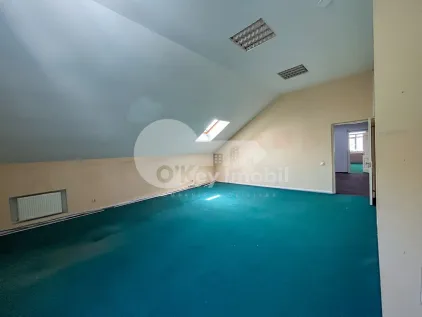 Офис, Центр, ВАСИЛЕ АЛЕКСАНДРИ