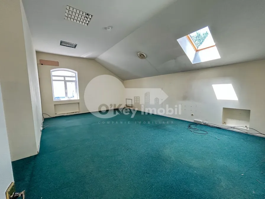 Офис, Центр, ВАСИЛЕ АЛЕКСАНДРИ