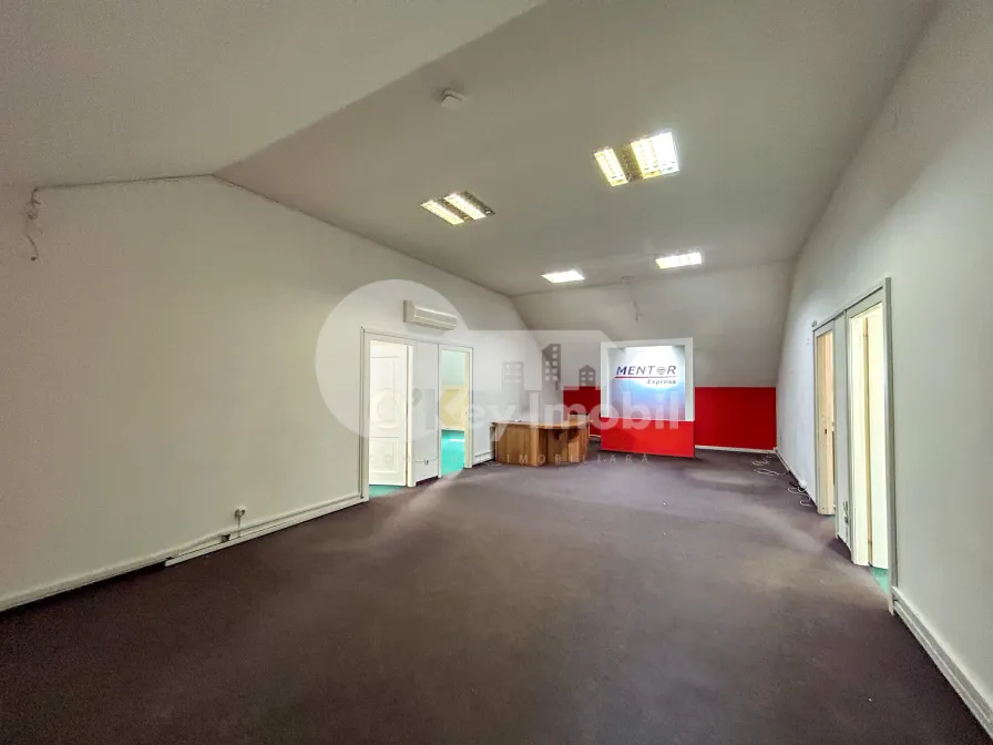 Офис, Центр, ВАСИЛЕ АЛЕКСАНДРИ