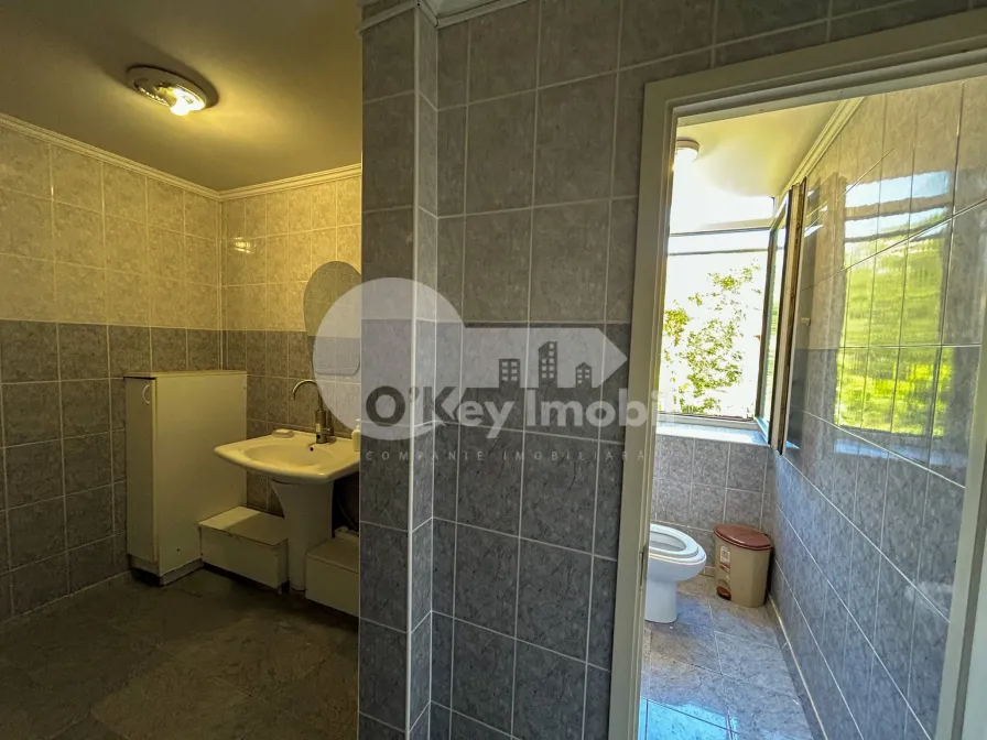 Офис, Центр, ВАСИЛЕ АЛЕКСАНДРИ