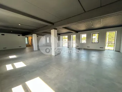 Офис, Чеканы, УЗИНЕЛОР