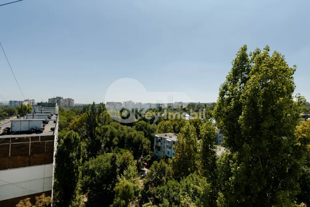 Квартира, Ботаника, ДАЧИЯ