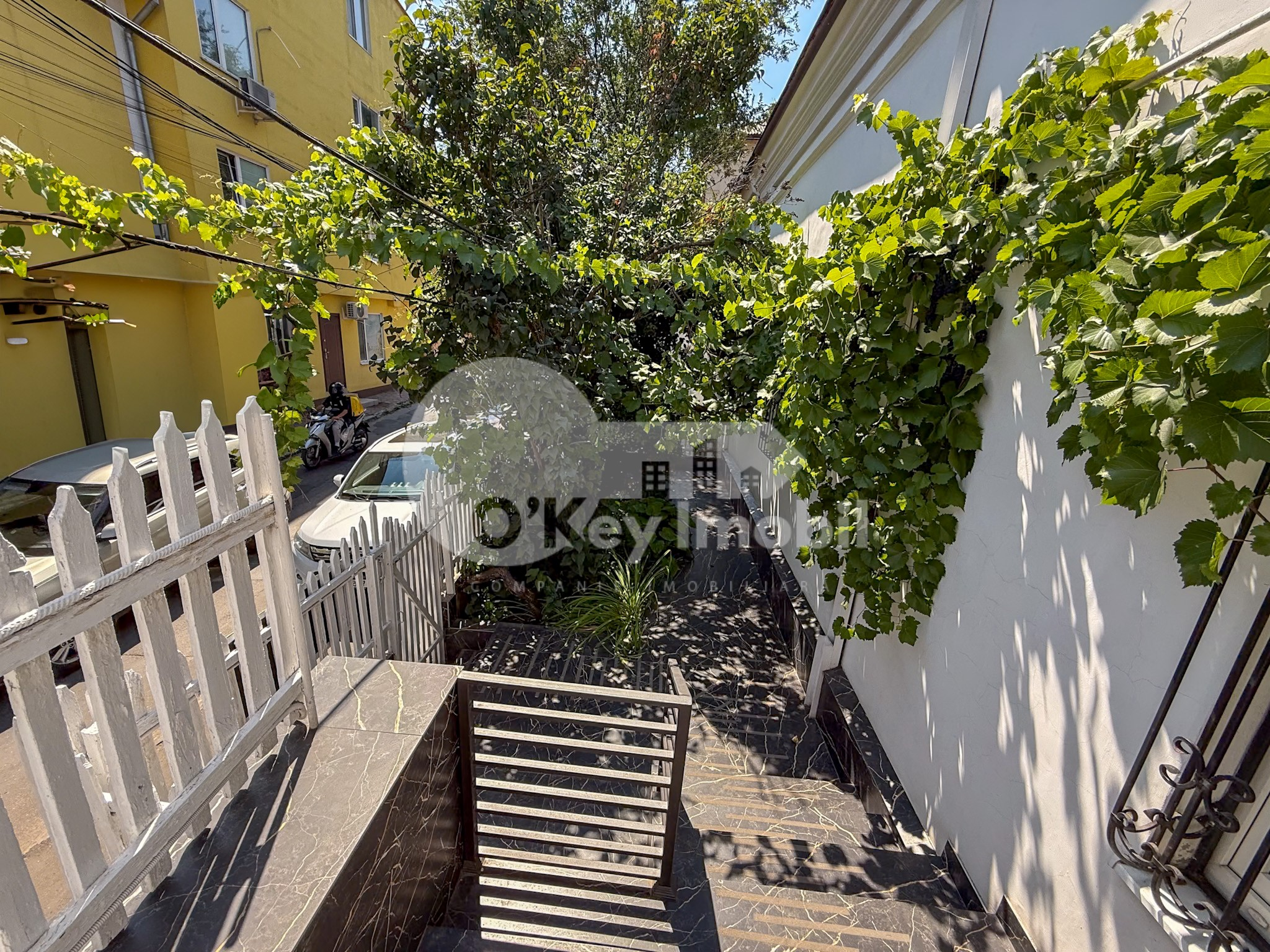 Oficiu, Centru, ALEXEI MATEEVICI