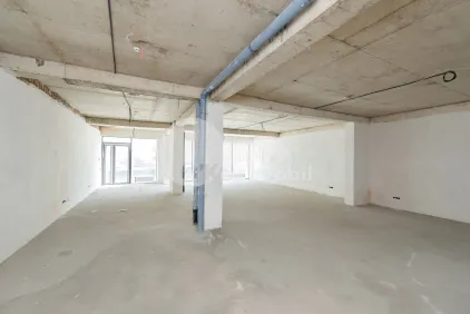 Комм. помещение, Чеканы, МИРЧА ЧЕЛ БЭТРЫН