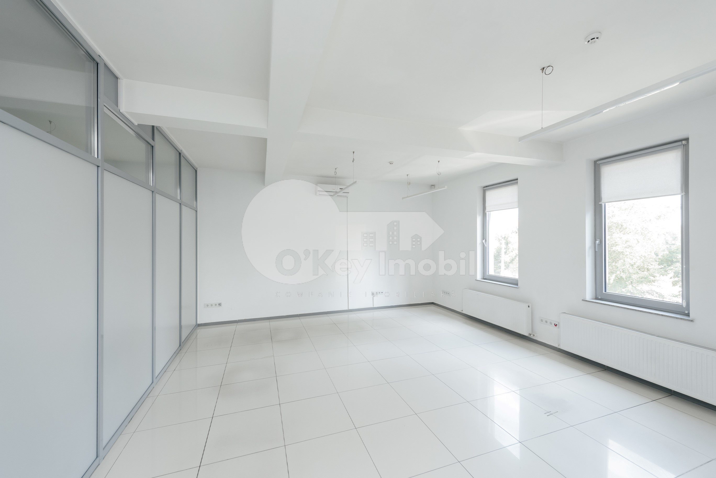 Oficiu, Centru, ALEXANDRU HÂJDEU