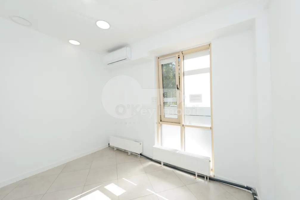 Комм. помещение, Центр, ШТЕФАН ЧЕЛ МАРЕ