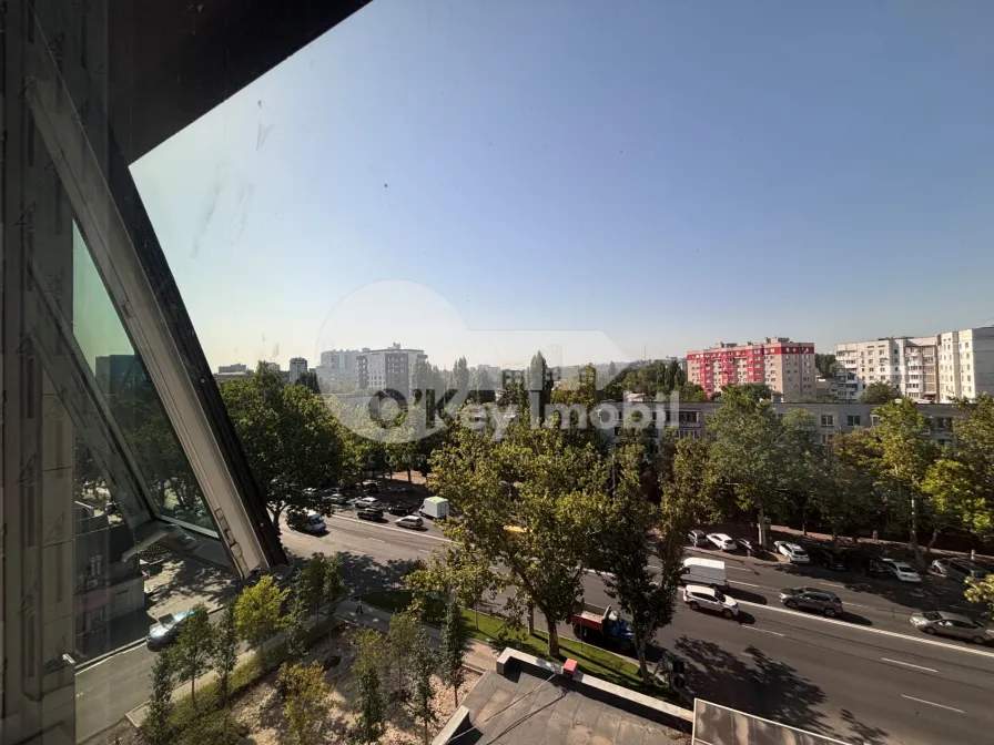 Офис, Буюканы, КАЛЯ ЕШИЛОР