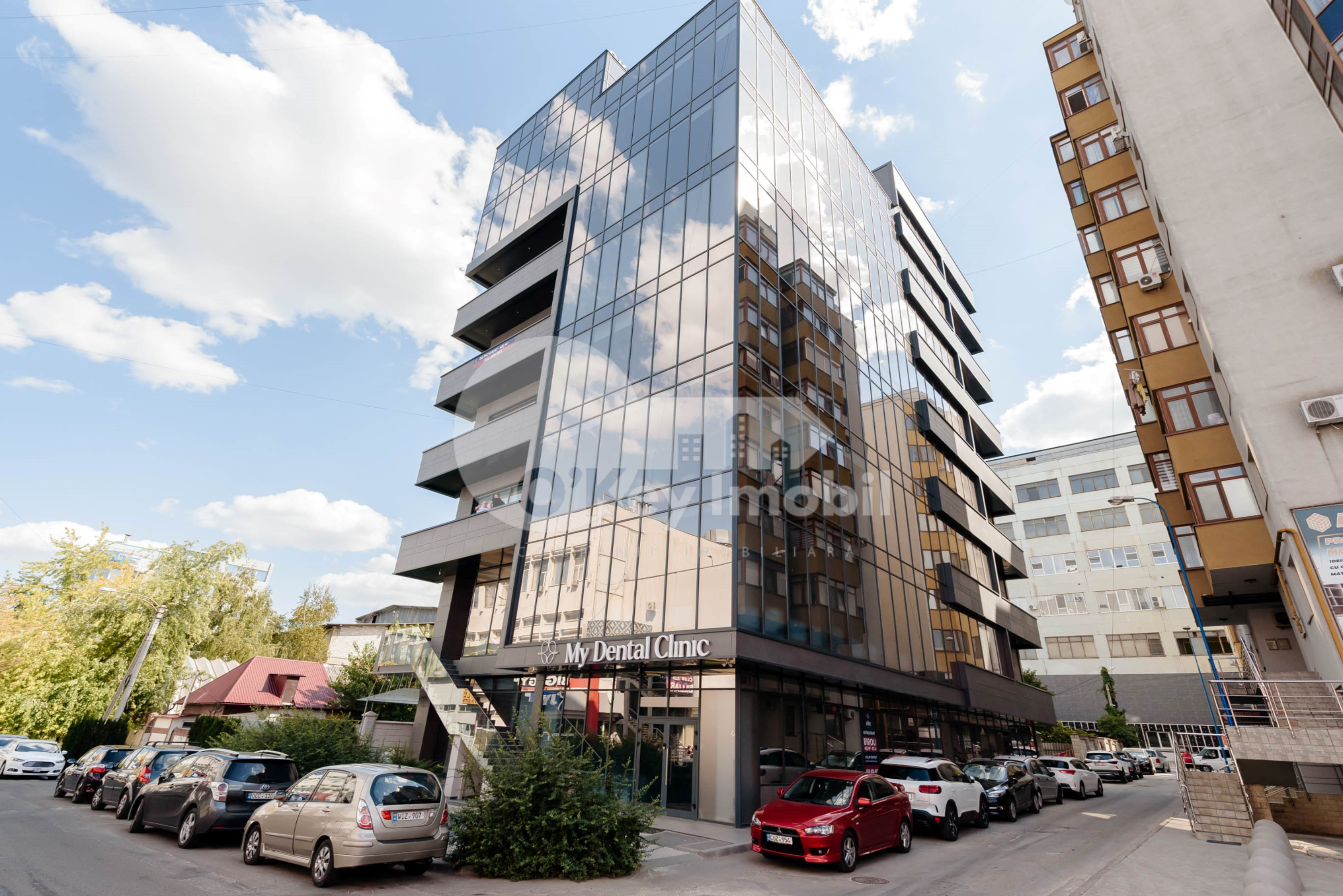 Oficiu, Botanica, CONSTANTIN BRÂNCUȘI