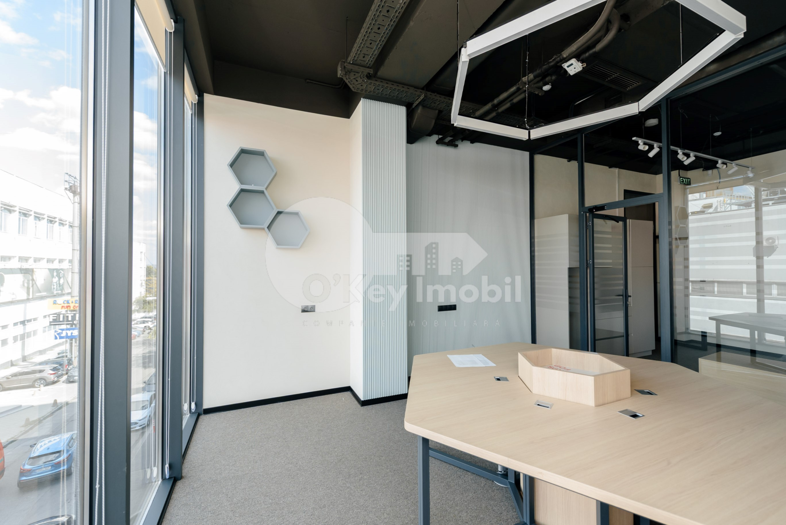 Oficiu, Botanica, CONSTANTIN BRÂNCUȘI