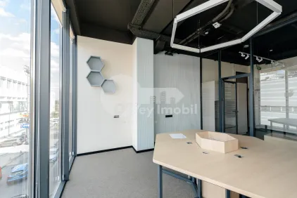 Офис, Ботаника, КОНСТАНТИН БРЫНКУШ