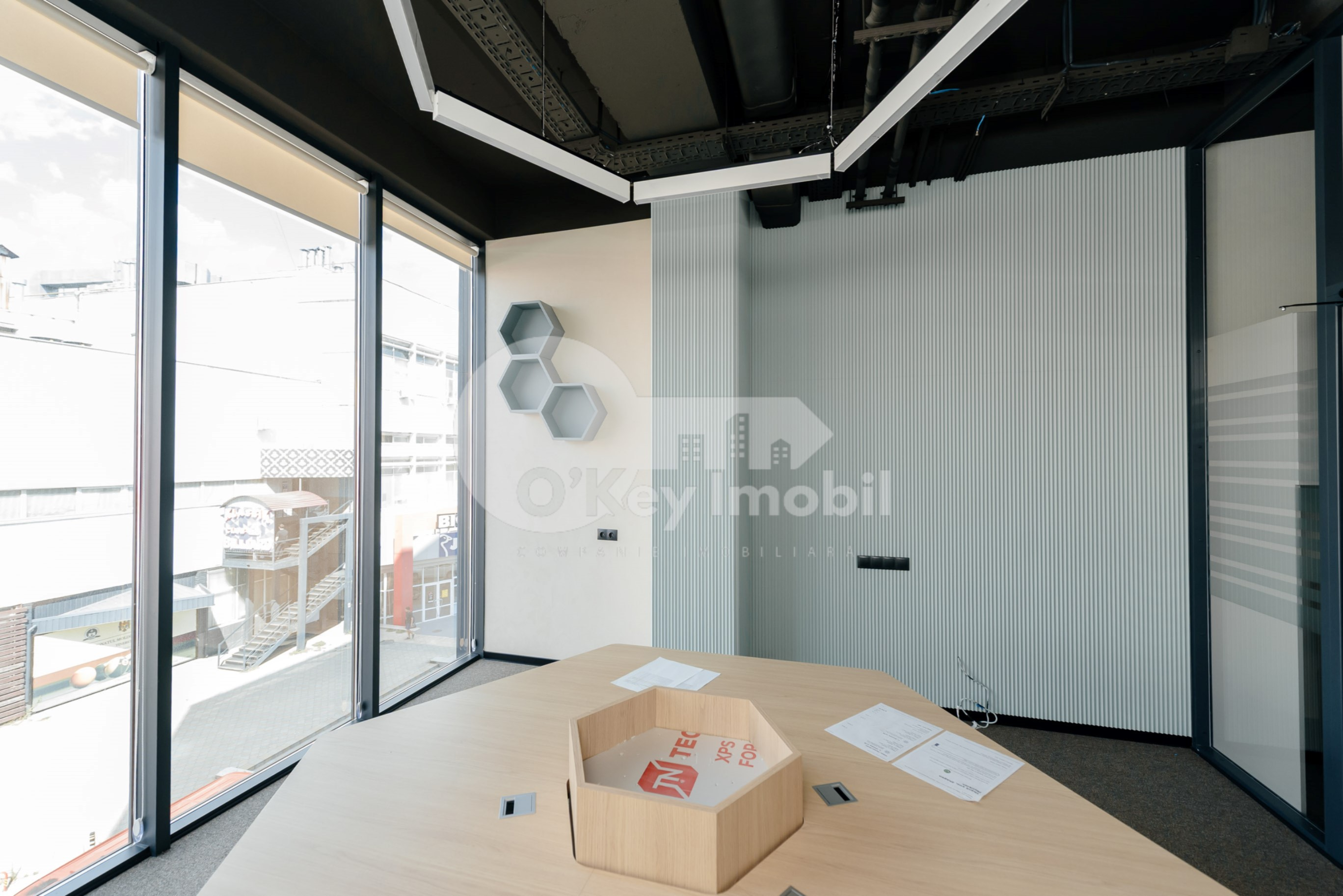 Oficiu, Botanica, CONSTANTIN BRÂNCUȘI